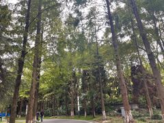 -苏州河梦清园环保主题公园