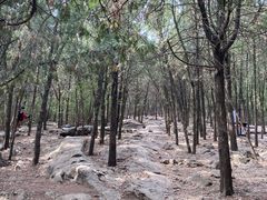 -云龙山