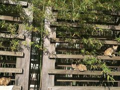 -BURBERRY(上海港汇恒隆广场店)