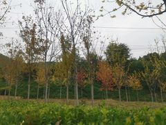 -香山公园-东宫门售票处