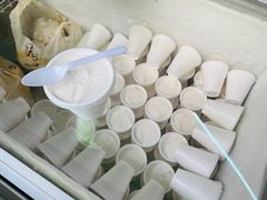 -洪馨椰子