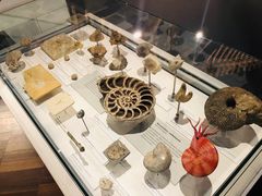 -墨尔本博物馆(Melbourne Museum)