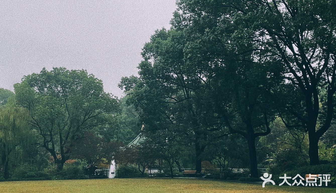 第一次来就爱上了