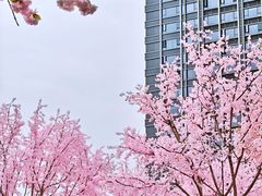 -首开·龙湖成都西宸天街