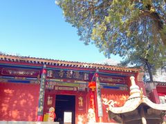 -少华山国家森林公园