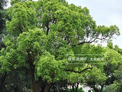-浙江大学(玉泉校区)