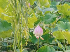 -悠米私人影院(街道口店)