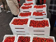 -西郊国际农产品交易中心