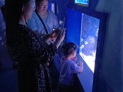 -常州海昌海洋探索馆