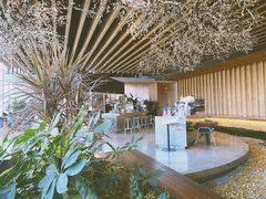 -Seesaw Coffee(朝阳大悦城店)