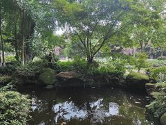 -望江楼公园