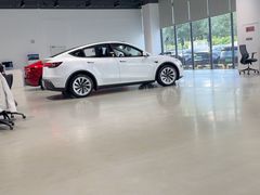 -TESLA 特斯拉(深圳观澜特斯拉直营钣喷中心)