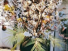 -悦融·京鲁菜·露台花园(安定门店)