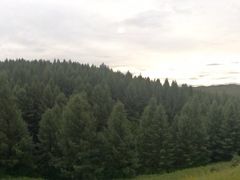 -塞罕坝国家级自然保护区