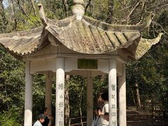 -灵谷景区