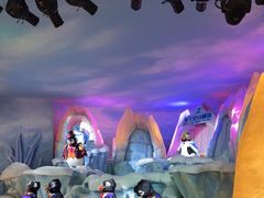 -帝企鹅自助餐厅•儿童岛•真企鹅(长隆企鹅酒店)