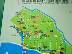 -合肥滨湖国家森林公园