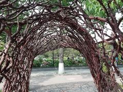 -莲花池公园