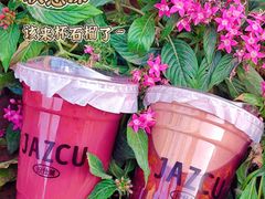 -Jazcu珍仕菓鲜榨果汁(西单大悦城店)