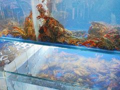 -羊家胡同·龙虾烧烤火锅(龙汇路店)