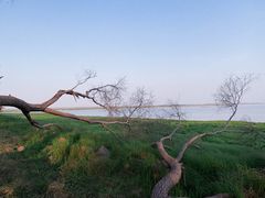 -湖南东洞庭湖国家级自然保护区