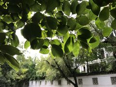 -西园戒幢律寺