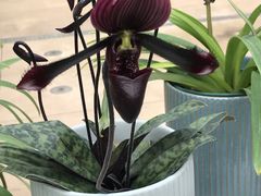 -北京植物园-展览温室