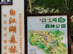 -广州白江湖森林公园