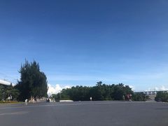 -宝安西湾红树林湿地公园