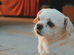 -敦煌雅丹国家地质公园