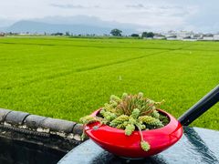 -喜林苑·稻田餐厅(品相府店)