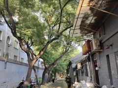 -炒豆合作社(东四总店)