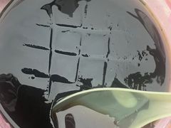 糖浆原味龟苓膏-梧州双钱龟苓膏(丽港航母店)