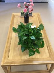 -FineYoga梵音瑜伽·普拉提