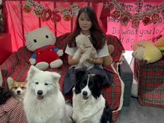 -汪说·狗咖·拼豆·宠物周边DIY(旺城大厦店)