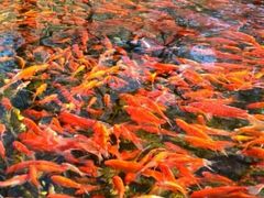 -水磨沟公园
