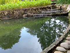 -成都市活水公园