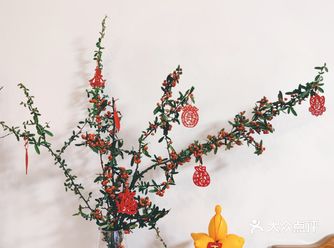 沙棘果真的太有年味了！冬青平替啊