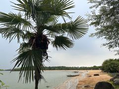 -瑶湖郊野森林公园