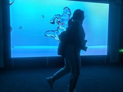 -现代汽车文化中心 Hyundai Motorstudio Beijing
