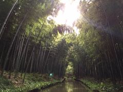 同里国家湿地公园-同里国家湿地公园