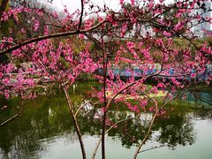 -重庆彩云湖湿地公园