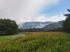 -凤凰山国家森林公园