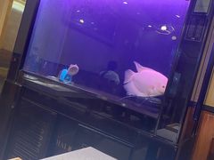 -万鑫鸡翅