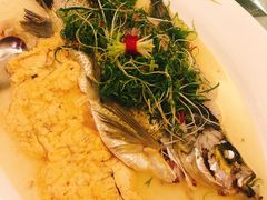 -山泉公馆酒家(珠江新城店)