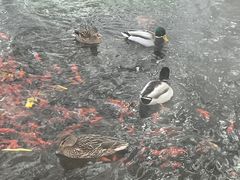-水磨沟公园