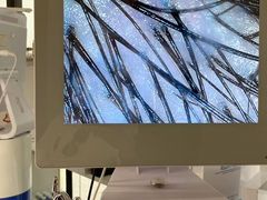 -紫荆广场·花漫里