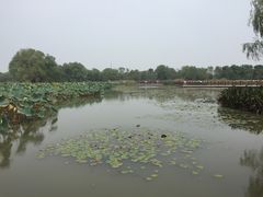 -长兴太湖图影湿地文化园
