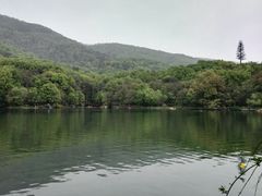 -紫霞湖公园