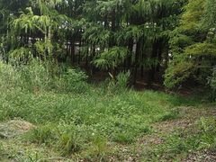 -渤公岛生态公园
